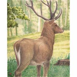 JVD - Cerf 3/4