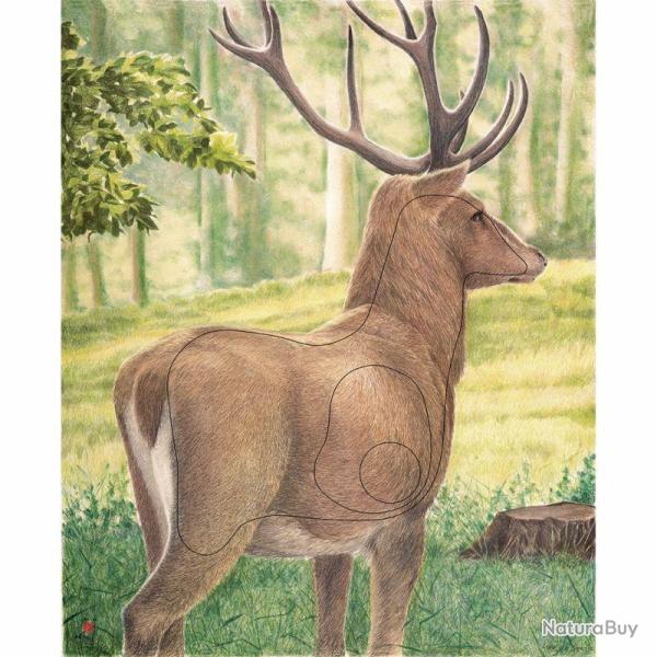 JVD - Cerf 3/4