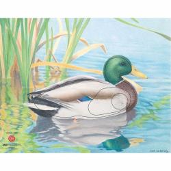 JVD - Canard