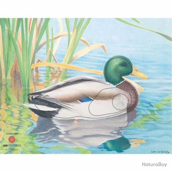 JVD - Canard