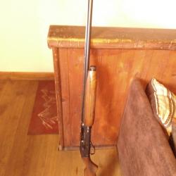 baikal  occasion mp 153 bois   12/89   canon 75 cm
