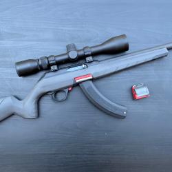 Winchester Wildcat 22LR + lunette & accesoires