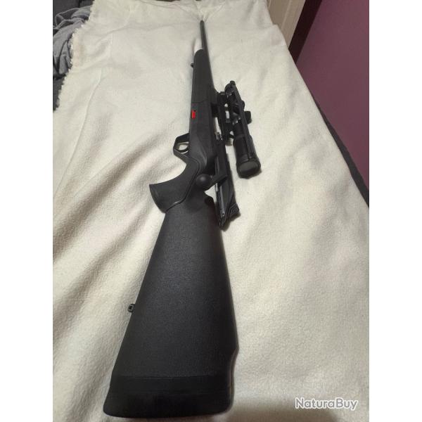 Brx1