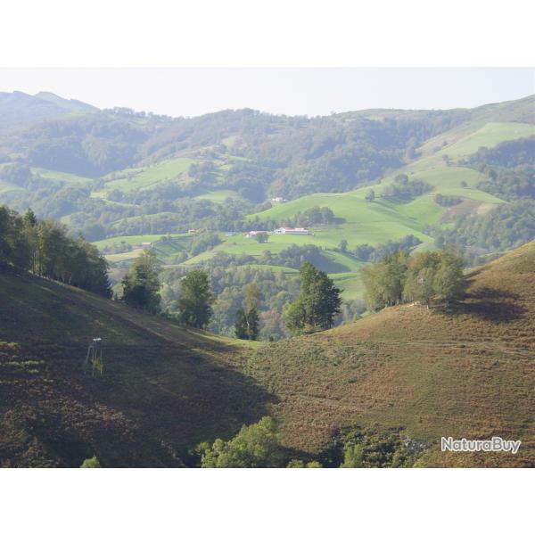 Location poste de tir au vol � la palombe