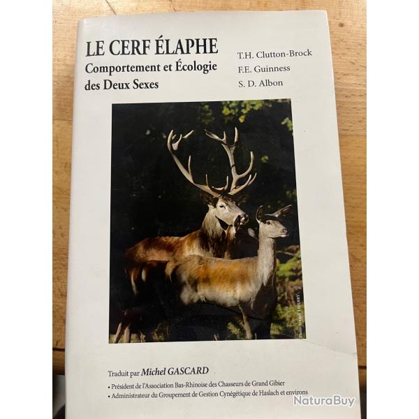 Le cerf Elaphe