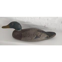Appelant Canard de chasse en bois USA yeux en verre