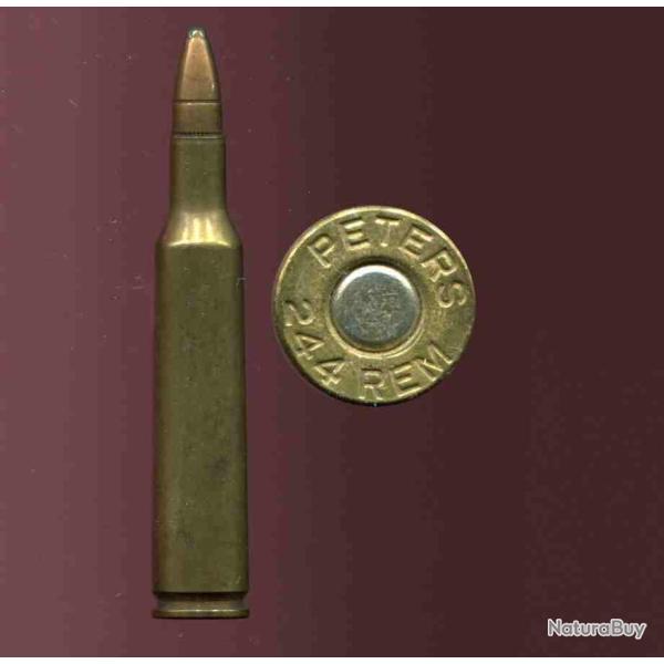 .244 Remington - PETERS - balle cuivre pointe plomb - �tui laion de 56.5 mm de long