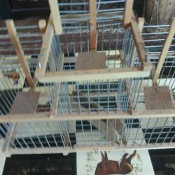 cage a trebuchet etat neuf