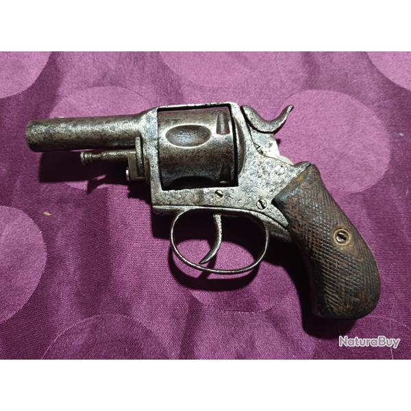 Revolver bulldog.