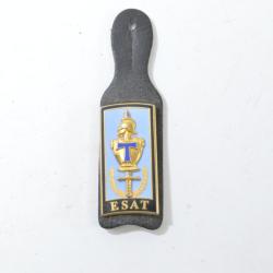 Insigne Ecole Sup&eacute;rieure d'Application Transmissions, ESAT DESTREE G4170, 49mm