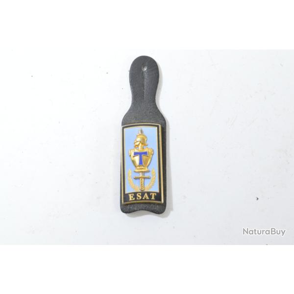 Insigne Ecole Sup�rieure d'Application Transmissions, ESAT DESTREE G4170, 49mm