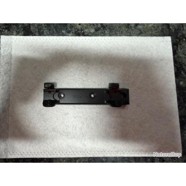 Montage Blaser Rail