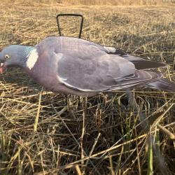 Pack 12 Formes Pigeons Silhouettes Duck Hunter Ultra R&eacute;alistes - 6 Actives et 6 Mangeurs pour la Cha