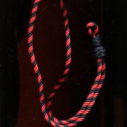 Fourrag&egrave;re Britanique  - tress&eacute;e noire et rouge
