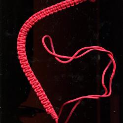 Fourrag&egrave;re tress&eacute;e rouge - &agrave; identifier