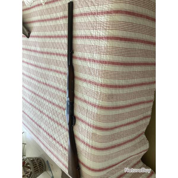 Cause maladie vent fusil de chasse de St �tienne