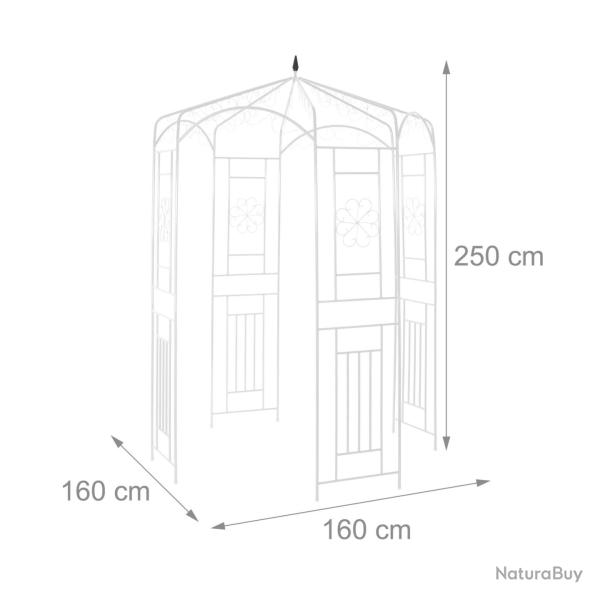 Arche � rosiers d�corative jardin 250 x 160 x 160 cm pour plantes grimpantes en m�tal noir 13_00055