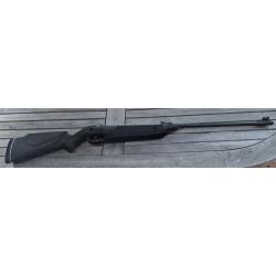 Carabine Beeman Bay Cat 16 Joules