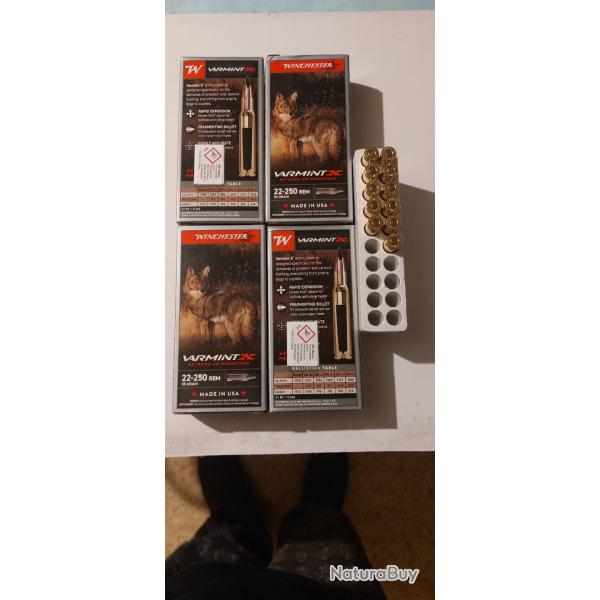 Vends munitions calibre 22 250