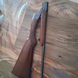 Carabine 410 magnum