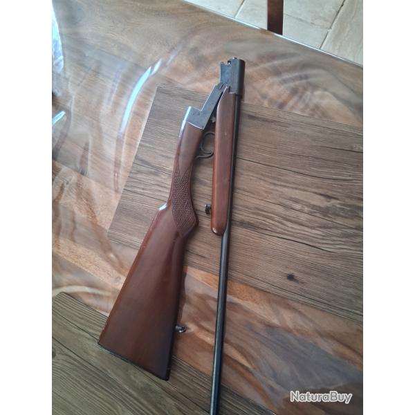 Carabine 410 magnum