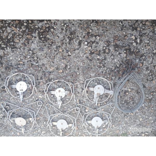 Lot 6 pi�ges b�lisle avec 13 lacets