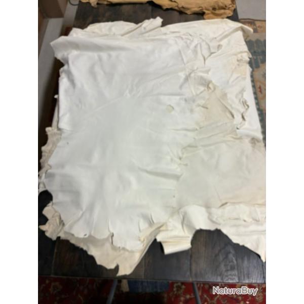 Lot de peaux de cerf blanchies