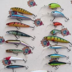 Poissons-nageurs Gunki