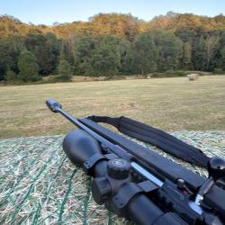 Carabine 308win