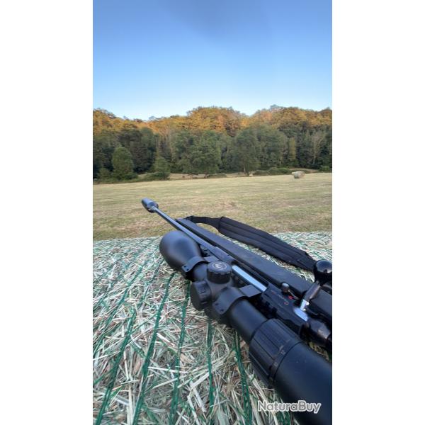 Carabine 308win