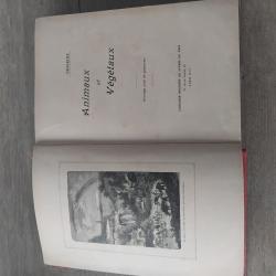Livre ancien Animaux et vegetaux