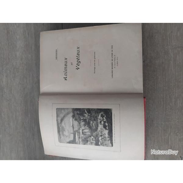 Livre ancien Animaux et vegetaux