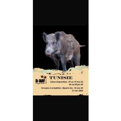 Chasse en Tunisie