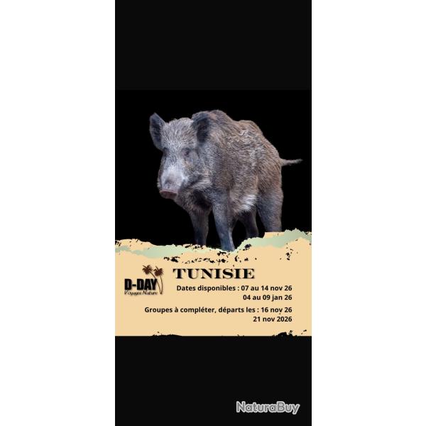 Chasse en Tunisie