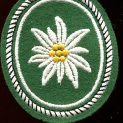 Patch -  Insigne de manche allemand des troupes montagne Bundeswehr -  PORT COMPRIS EN FRANCE - N&deg;13