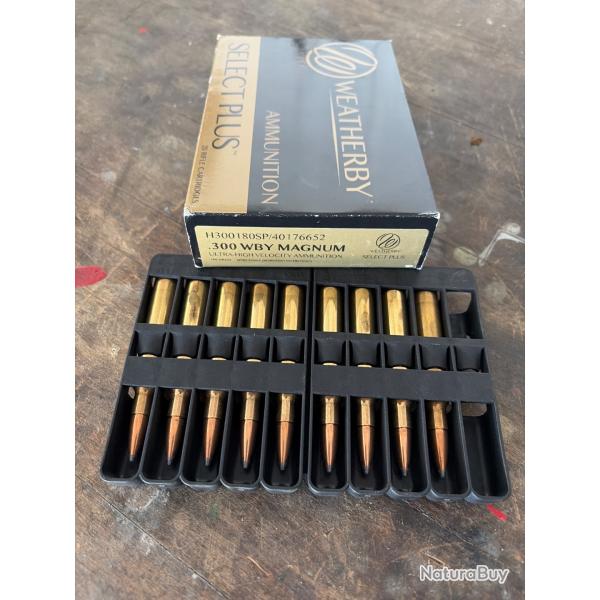 Wearherby 300 ! Munitions