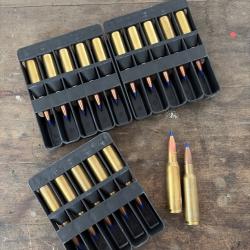 Munitions Blaser 8.5x55 TTSX