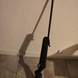 A saisir carabine &agrave; plomb  inf&eacute;rieur 20 joules