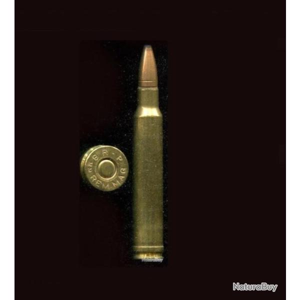 8 mm Reminrton magnum - calibre assez RARE - Marquage : R�P 8mm REM MAG