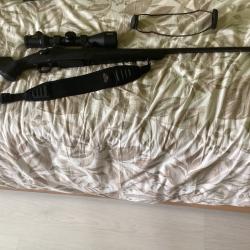 Carabine calibre 243 silencieux