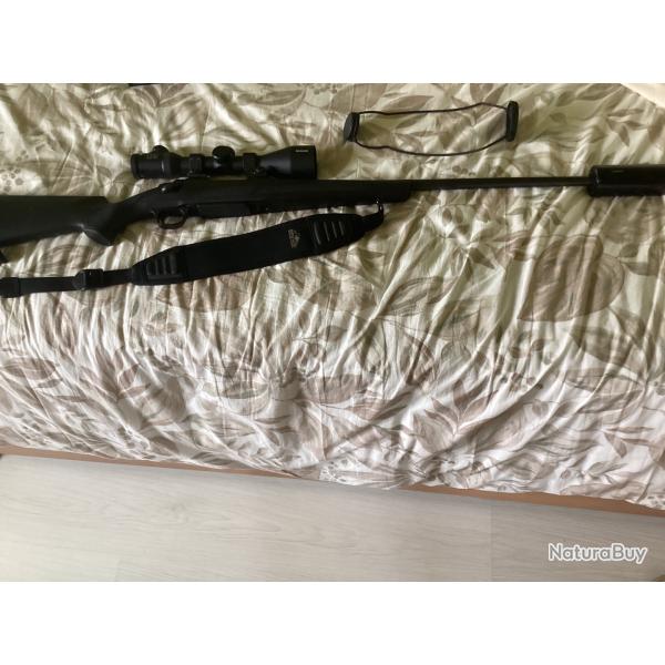 Carabine calibre 243 silencieux