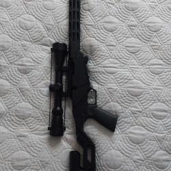 Ruger RPR RIMFIRE 22LR NEUVE avec valise MTM Case Gard