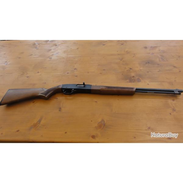Carabine Winchester 190