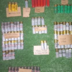 lot de cartouches calibre 12