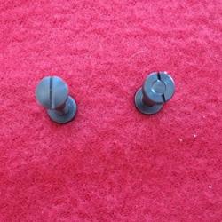 Lot de 2 vis plaquette baionnette Mauser 1939
