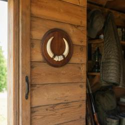 Plateau Rond Troph&eacute;e chasse d&eacute;fense sanglier ch&ecirc;ne fonc&eacute; cir&eacute; &Oslash; 22 cm