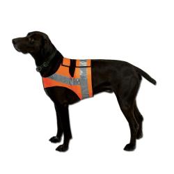 Gilet orange fluo bande r&eacute;fl&eacute;chissantes pour chien &Eacute;pagneul/Springer