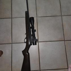 Carabine 22lr semi-automatique..