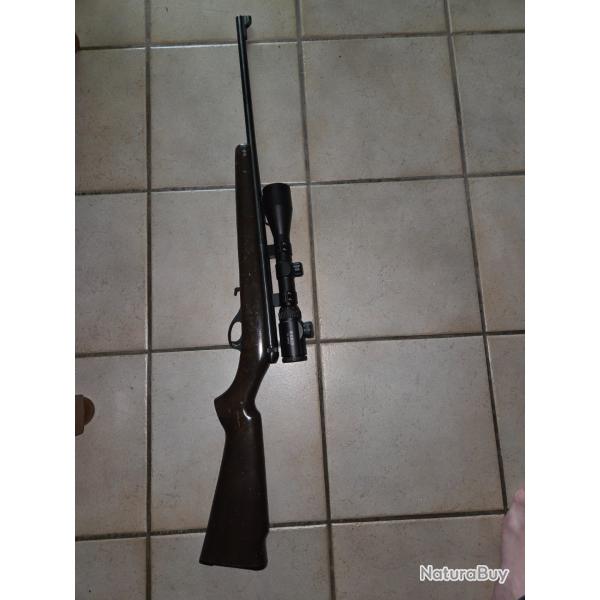 Carabine 22lr semi-automatique..
