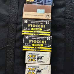Lot munition 22LR short